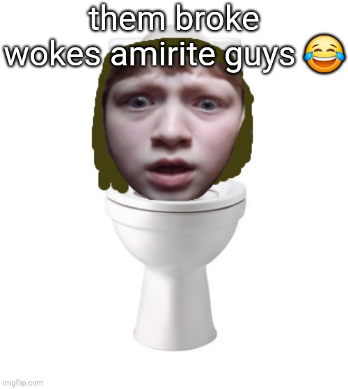 skibidi nat | them broke wokes amirite guys 😂 | image tagged in skibidi nat | made w/ Imgflip meme maker