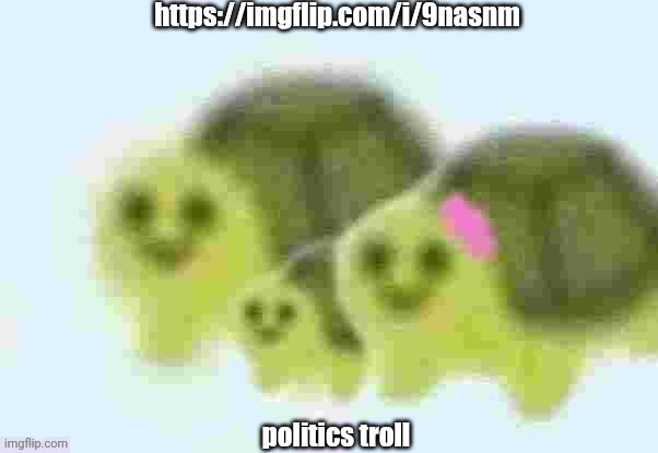 https://imgflip.com/i/9nasnm | https://imgflip.com/i/9nasnm; politics troll | image tagged in low quality turtle family | made w/ Imgflip meme maker