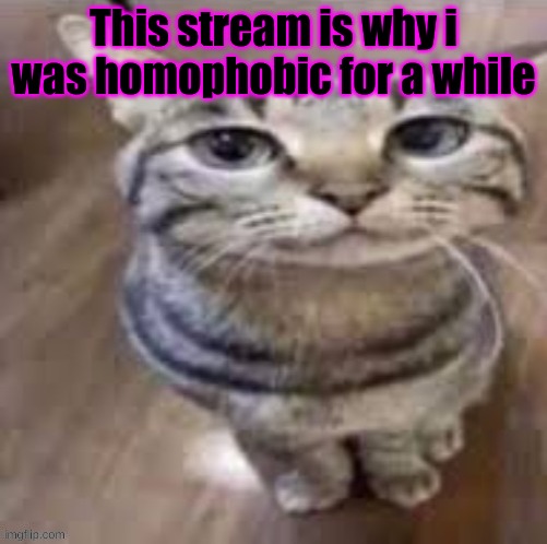 This stream is why i was homophobic for a while | made w/ Imgflip meme maker