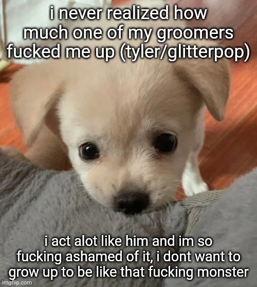 hi | i never realized how much one of my groomers fucked me up (tyler/glitterpop); i act alot like him and im so fucking ashamed of it, i dont want to grow up to be like that fucking monster | image tagged in hi | made w/ Imgflip meme maker