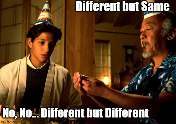 Different But Different | Different but Same; No, No... Different but Different | image tagged in karate kid,different,mr miyagi,movie quotes,classic movies,1980s | made w/ Imgflip meme maker