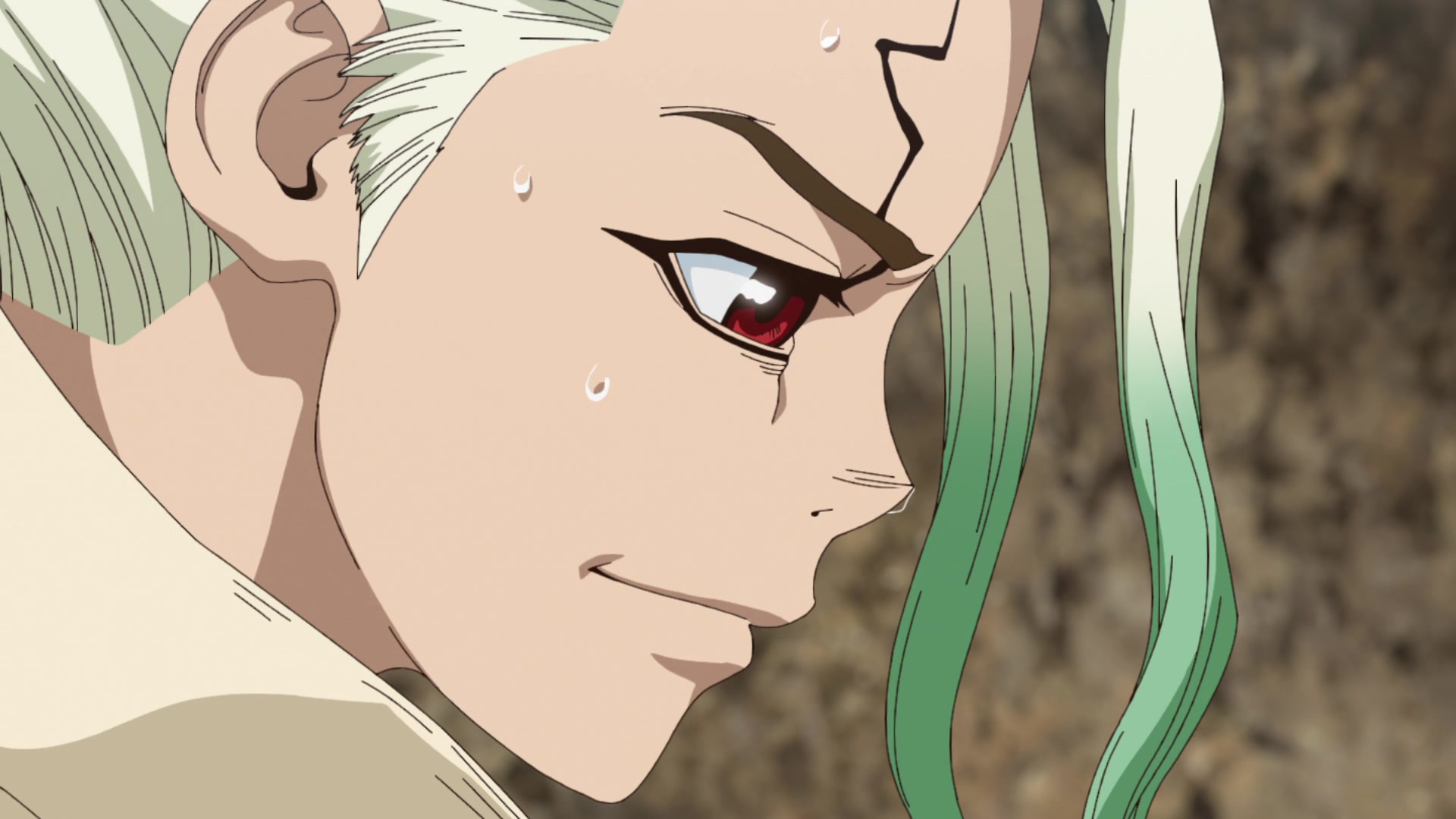 senku Blank Meme Template