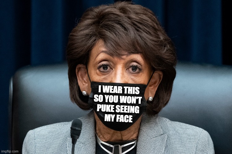 Beauty's only Skin Deep; Ugly goes to the Bone. | I WEAR THIS
SO YOU WON'T
 PUKE SEEING
   MY FACE | image tagged in vince vance,maxine waters,covid-19,face mask,memes,mad max | made w/ Imgflip meme maker