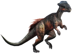 Stegoceras (JWA Design) Meme Template