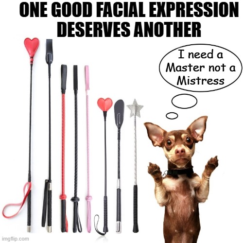 ONE GOOD FACIAL EXPRESSION
DESERVES ANOTHER I need a
Master not a
Mistress | made w/ Imgflip meme maker