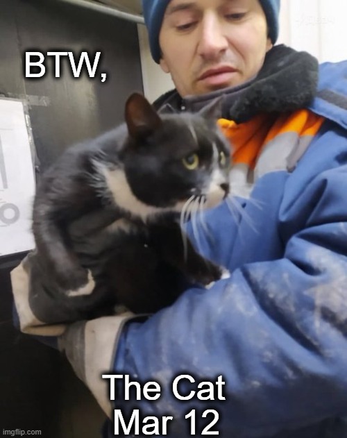 The Cat Mar 12 BTW, | made w/ Imgflip meme maker