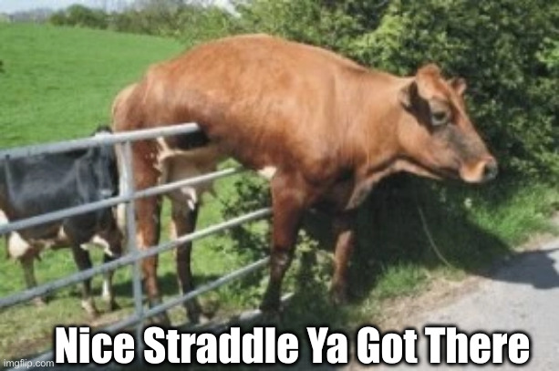 Straddling the fence | Nice Straddle Ya Got There | image tagged in straddling the fence | made w/ Imgflip meme maker