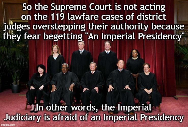 Dips | So the Supreme Court is not acting on the 119 lawfare cases of district judges overstepping their authority because they fear begetting "An Imperial Presidency"; In other words, the Imperial Judiciary is afraid of an Imperial Presidency | image tagged in supreme court 2023 | made w/ Imgflip meme maker