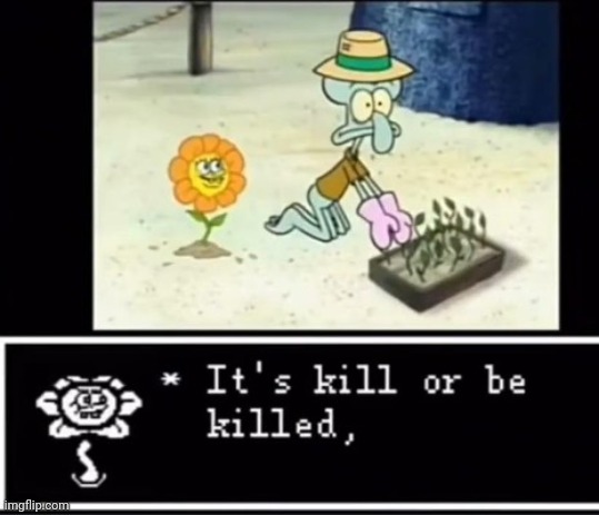 . | image tagged in it's kill or be killed | made w/ Imgflip meme maker