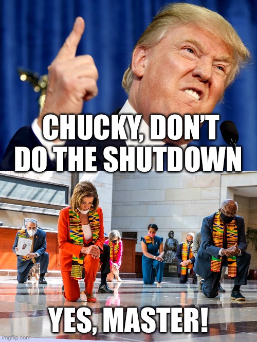 Shutdown Chucky | CHUCKY, DON’T DO THE SHUTDOWN; YES, MASTER! | image tagged in donald trump,democrats kneeling,political meme,politics,government shutdown | made w/ Imgflip meme maker