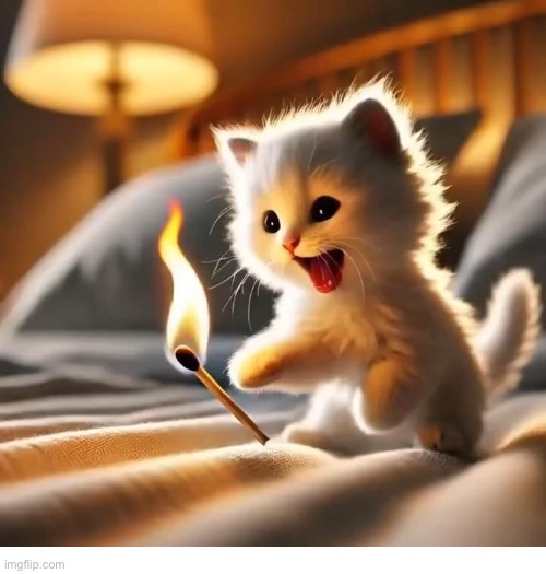 Take hold of the flame… before it’s too late! | image tagged in cats | made w/ Imgflip meme maker