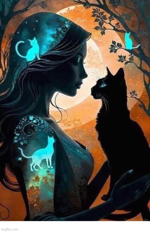 Special friends… | image tagged in cats | made w/ Imgflip meme maker