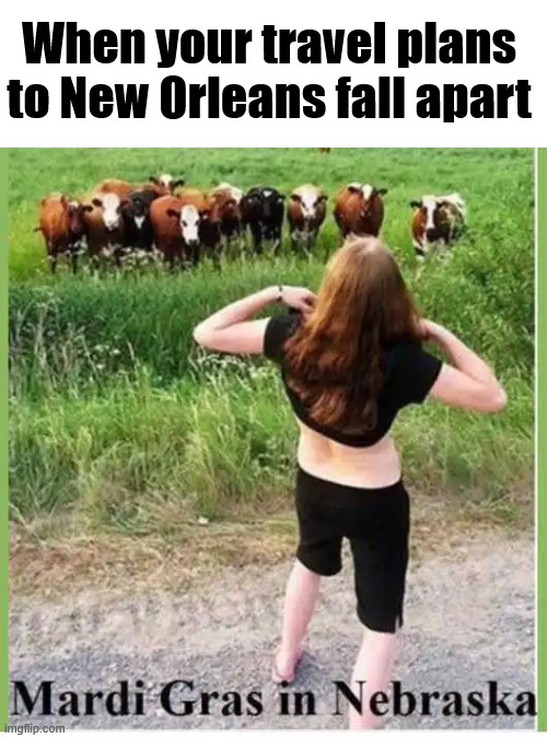 Mardi Gras in Nebraska | When your travel plans to New Orleans fall apart | image tagged in mardi gras,in nebraska,memes | made w/ Imgflip meme maker
