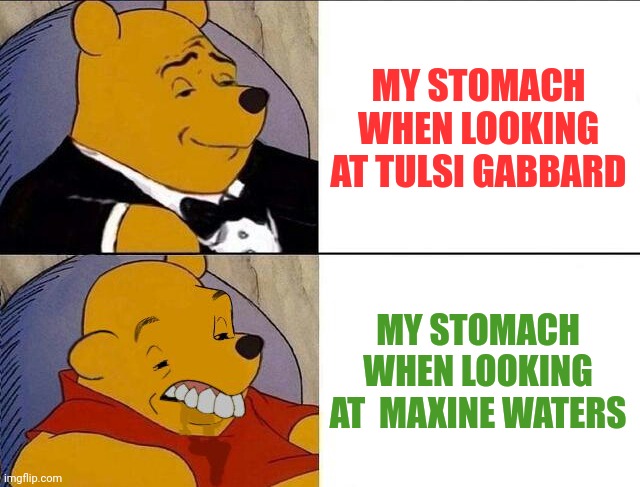 Tuxedo Winnie the Pooh grossed reverse | MY STOMACH WHEN LOOKING AT TULSI GABBARD MY STOMACH WHEN LOOKING AT  MAXINE WATERS | image tagged in tuxedo winnie the pooh grossed reverse | made w/ Imgflip meme maker