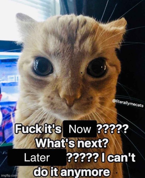 Whats after later, overwatch? | image tagged in grumpy cat,funny,cats,dark humor | made w/ Imgflip meme maker