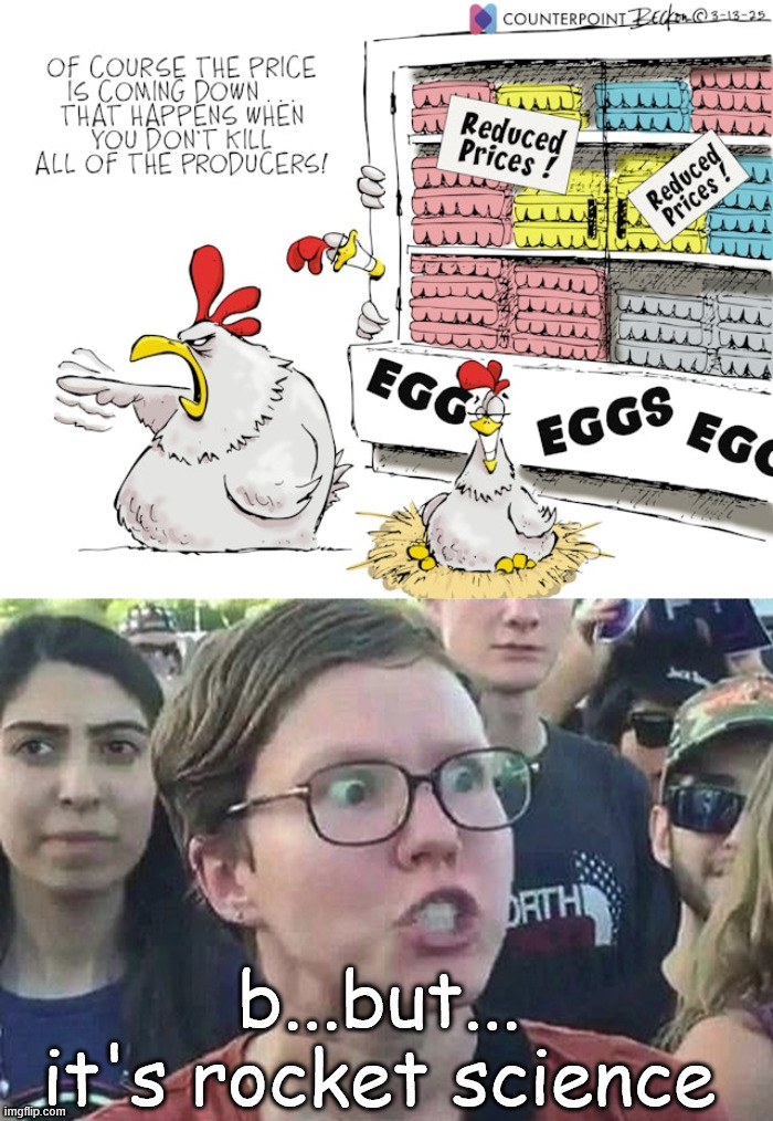 no... it's not rocket science... stop killing the chickens... | b...but... it's rocket science | image tagged in triggered liberal,egg prices,biden at fault | made w/ Imgflip meme maker