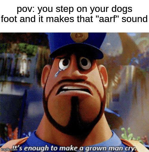 the sound is always so sad | pov: you step on your dogs foot and it makes that "aarf" sound | image tagged in it's enough to make a grown man cry,memes,relatable,dogs,sad | made w/ Imgflip meme maker