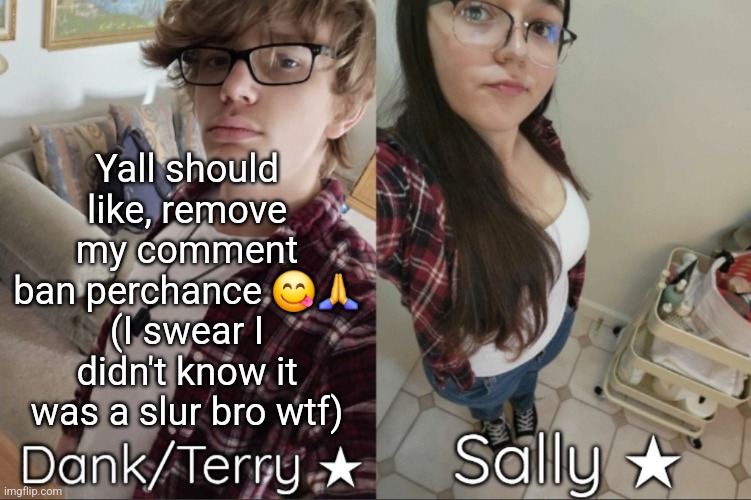 Dank/Sally matching shared temp | Yall should like, remove my comment ban perchance 😋🙏 (I swear I didn't know it was a slur bro wtf) | image tagged in dank/sally matching shared temp | made w/ Imgflip meme maker