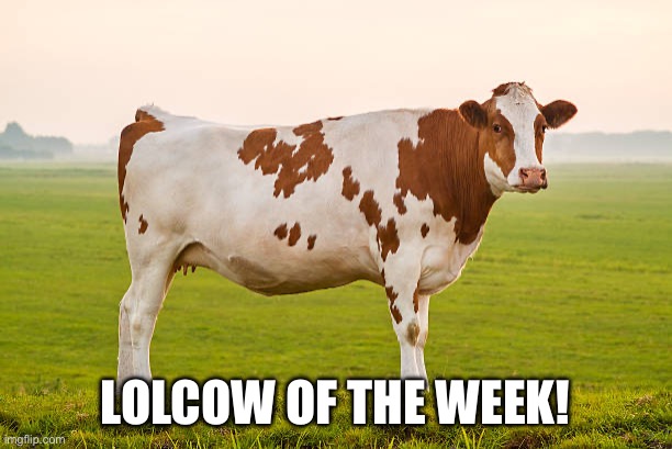 LOLCOW Blank Meme Template