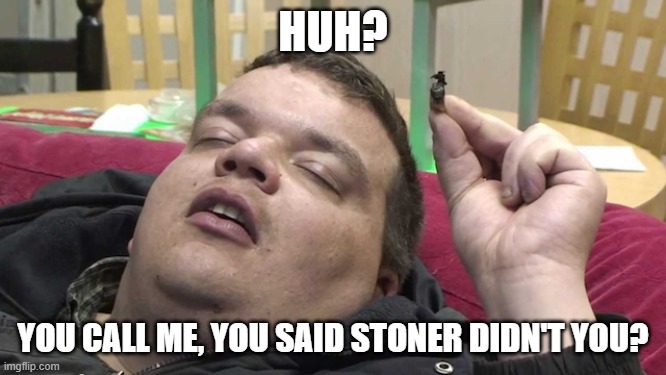 HUH? YOU CALL ME, YOU SAID STONER DIDN'T YOU? | made w/ Imgflip meme maker