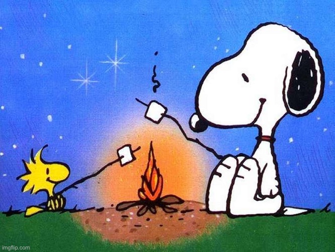 Snoopy woodstock campfire | image tagged in snoopy woodstock campfire | made w/ Imgflip meme maker