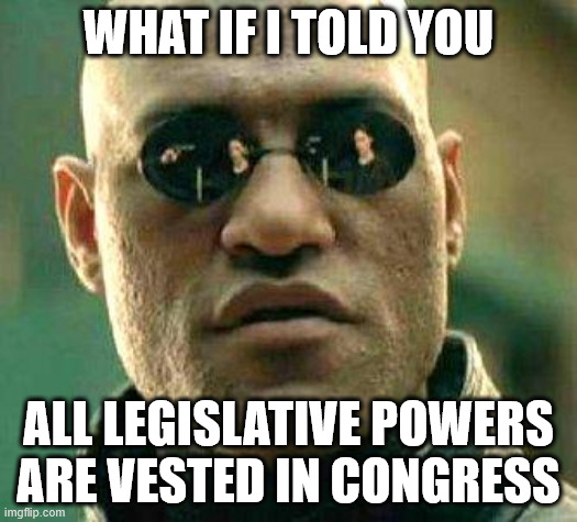 What if i told you | WHAT IF I TOLD YOU; ALL LEGISLATIVE POWERS ARE VESTED IN CONGRESS | image tagged in what if i told you | made w/ Imgflip meme maker