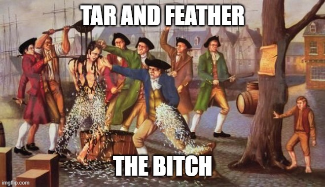 TAR AND FEATHER THE BITCH | image tagged in tar and feather | made w/ Imgflip meme maker