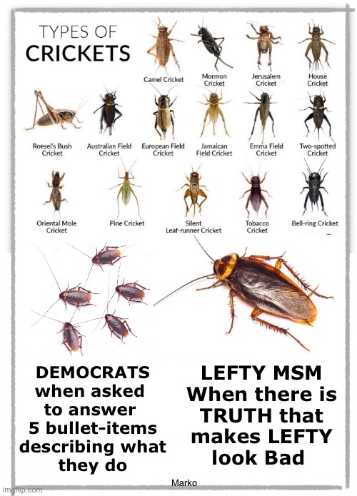 They Can’t Let Everyone Know the Truth  —  Can’t Even HEAR IT | LEFTY MSM
When there is
TRUTH that
makes LEFTY
look Bad; DEMOCRATS
when asked 
to answer 
5 bullet-items
describing what
they do; Marko | image tagged in lefty is pathetic cowardly punk n evil,so ate you if you support democrats,pos globalists progressives fjb voters kissmyass | made w/ Imgflip meme maker