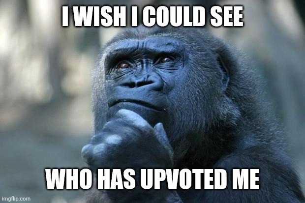 Who upvotes my memes?  I have no clue | I WISH I COULD SEE; WHO HAS UPVOTED ME | image tagged in deep thoughts,upvotes,wish i could see who,usernames | made w/ Imgflip meme maker