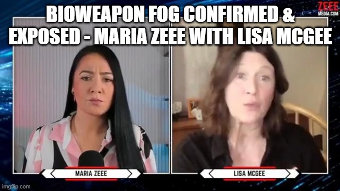 Bioweapon Fog Confirmed & Exposed - Maria Zeee With Lisa McGee (Video)