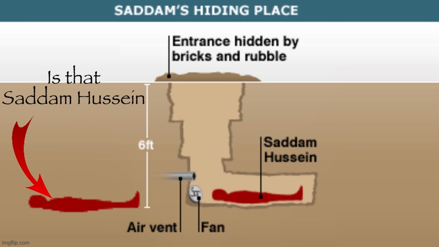 Saddam's Hiding Place | Is that Saddam Hussein | image tagged in saddam's hiding place | made w/ Imgflip meme maker