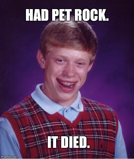 Bad Luck Brian Meme | HAD PET ROCK. IT DIED. | image tagged in memes,bad luck brian | made w/ Imgflip meme maker
