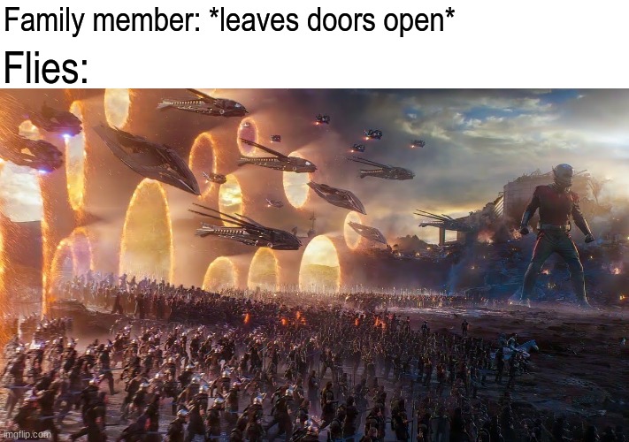 Time to invade | Flies:; Family member: *leaves doors open* | image tagged in memes,funny,relatable,marvel | made w/ Imgflip meme maker