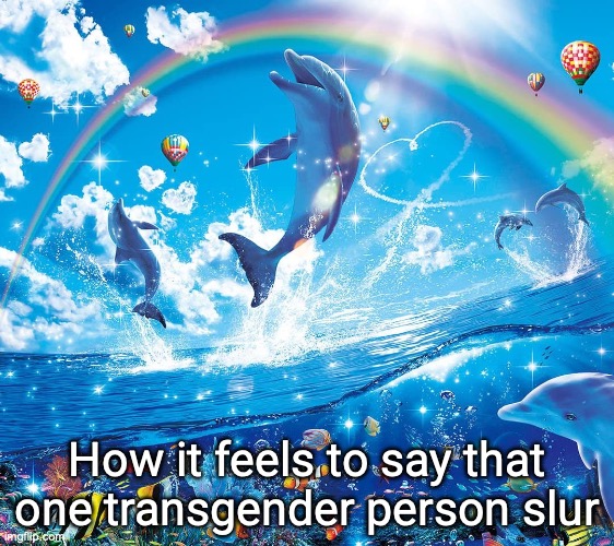 Misinformation dolphins | How it feels to say that one transgender person slur | image tagged in misinformation dolphins | made w/ Imgflip meme maker
