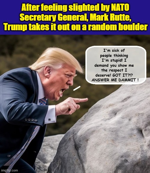 The King of Victims Suffers Another Humiliation Filled Day... | After feeling slighted by NATO Secretary General, Mark Rutte, Trump takes it out on a random boulder; I'm sick of people thinking I'm stupid! I demand you show me the respect I deserve! GOT IT?!?  ANSWER ME DAMMIT ! | image tagged in donald trump the clown,crazy,impeach trump,dump trump | made w/ Imgflip meme maker