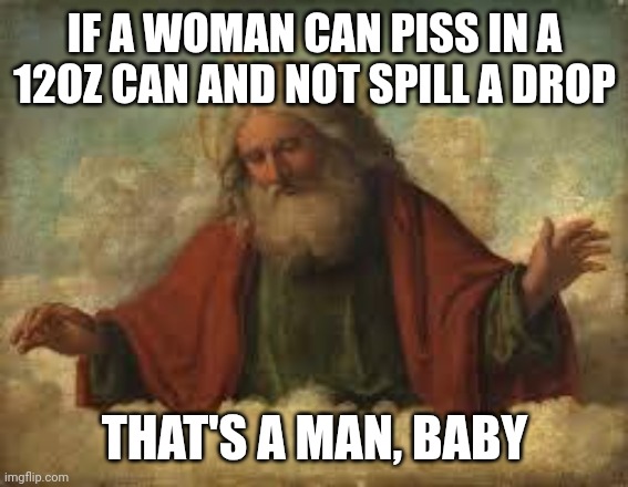 whoops, there it is | IF A WOMAN CAN PISS IN A 12OZ CAN AND NOT SPILL A DROP; THAT'S A MAN, BABY | image tagged in god,forgive us all | made w/ Imgflip meme maker