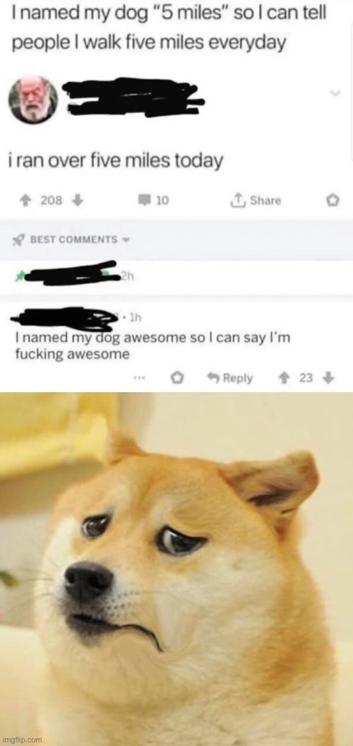 image tagged in unhappy worried doge,doggo,disappointed dog,comments,doggos | made w/ Imgflip meme maker