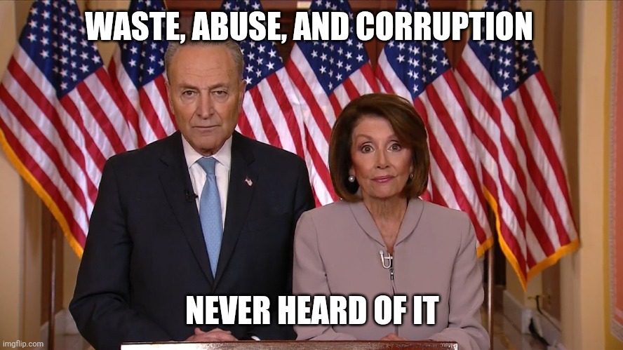 Chuck and Nancy | WASTE, ABUSE, AND CORRUPTION NEVER HEARD OF IT | image tagged in chuck and nancy | made w/ Imgflip meme maker