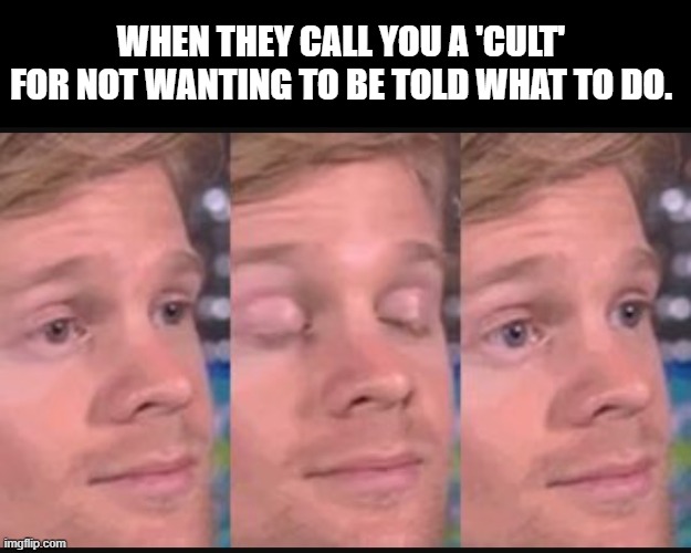 Blinking guy | WHEN THEY CALL YOU A 'CULT' FOR NOT WANTING TO BE TOLD WHAT TO DO. | image tagged in blinking guy,democrats,cult | made w/ Imgflip meme maker