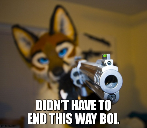 Furry with gun | DIDN'T HAVE TO END THIS WAY BOI. | image tagged in furry with gun | made w/ Imgflip meme maker