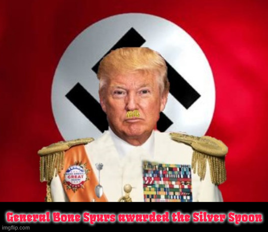 Heil General Bone Spurs | General Bone Spurs awarded the Silver Spoon | image tagged in heil general bone spurs,not the silver star but the silver spoon award,maga military,sucker and loseres,putin's putz,dictaor don | made w/ Imgflip meme maker