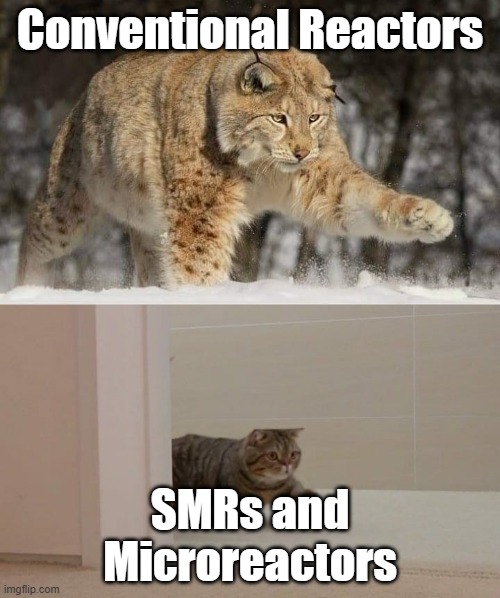 Different kinds of nuclear reactors | Conventional Reactors; SMRs and Microreactors | image tagged in big and smol cat | made w/ Imgflip meme maker