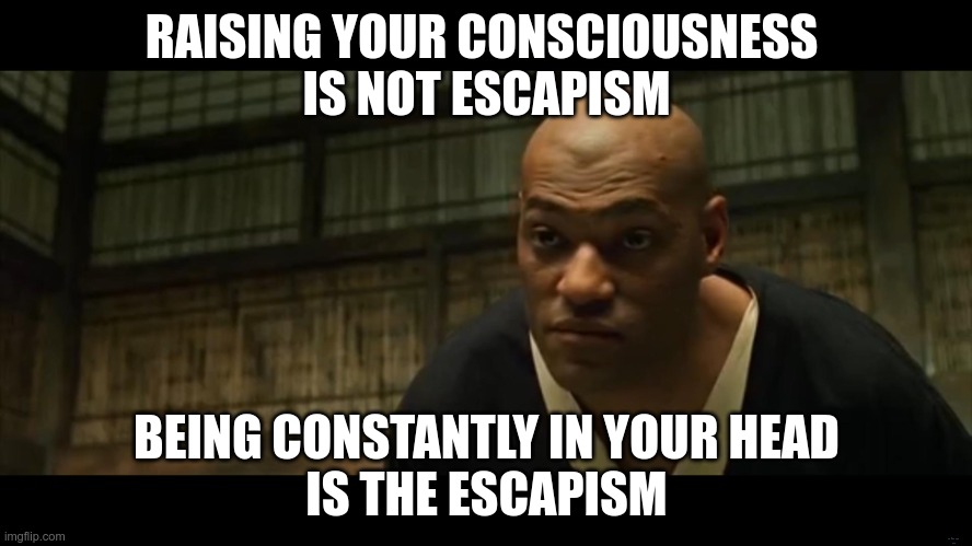 What is escapism? | RAISING YOUR CONSCIOUSNESS 
IS NOT ESCAPISM; BEING CONSTANTLY IN YOUR HEAD
IS THE ESCAPISM | image tagged in morpheus cocky look | made w/ Imgflip meme maker