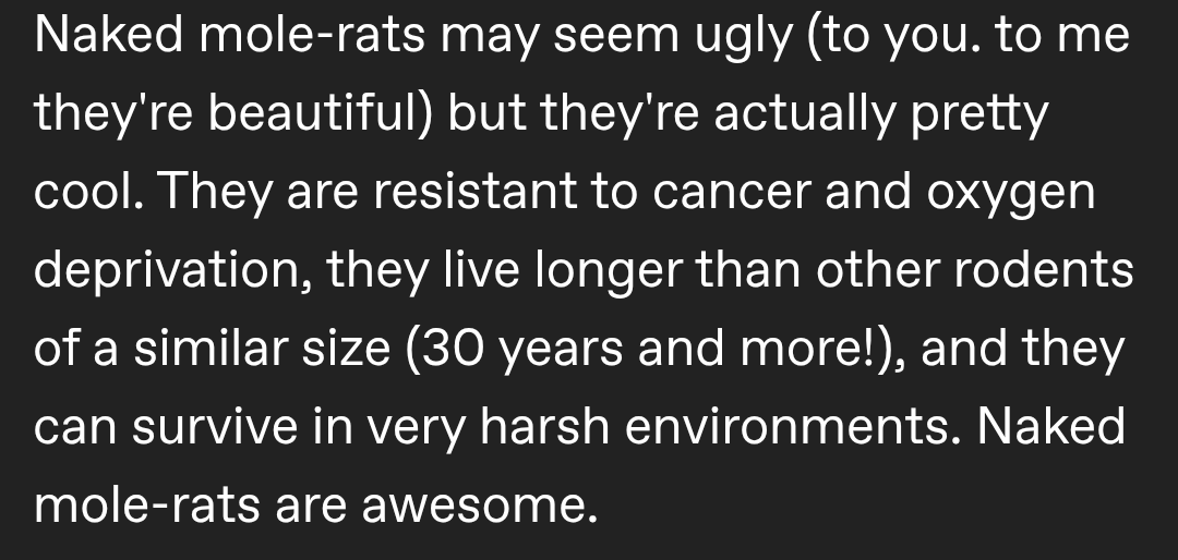 Rats. Blank Meme Template