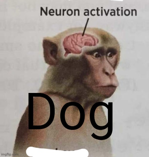 neuron activation | Dog | image tagged in neuron activation | made w/ Imgflip meme maker