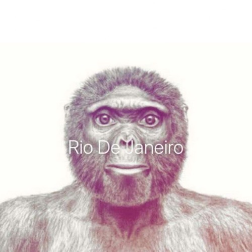 Monkey Stare | image tagged in monkey stare | made w/ Imgflip meme maker