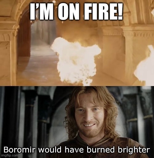 Karma | I’M ON FIRE! BOROMIR WOULD HAVE BURNED BRIGHTER | image tagged in lotr | made w/ Imgflip meme maker