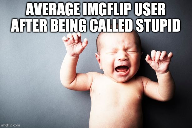 Go on, tell me I'm wrong. You'll be proving my point.(Day 1 of posting in every stream I follow) | AVERAGE IMGFLIP USER AFTER BEING CALLED STUPID | image tagged in newborn baby | made w/ Imgflip meme maker