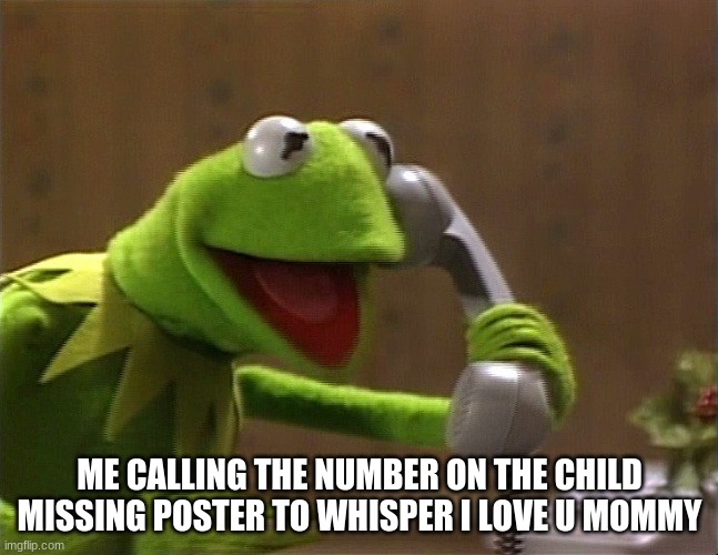^^ | ME CALLING THE NUMBER ON THE CHILD MISSING POSTER TO WHISPER I LOVE U MOMMY | image tagged in calling kermit | made w/ Imgflip meme maker