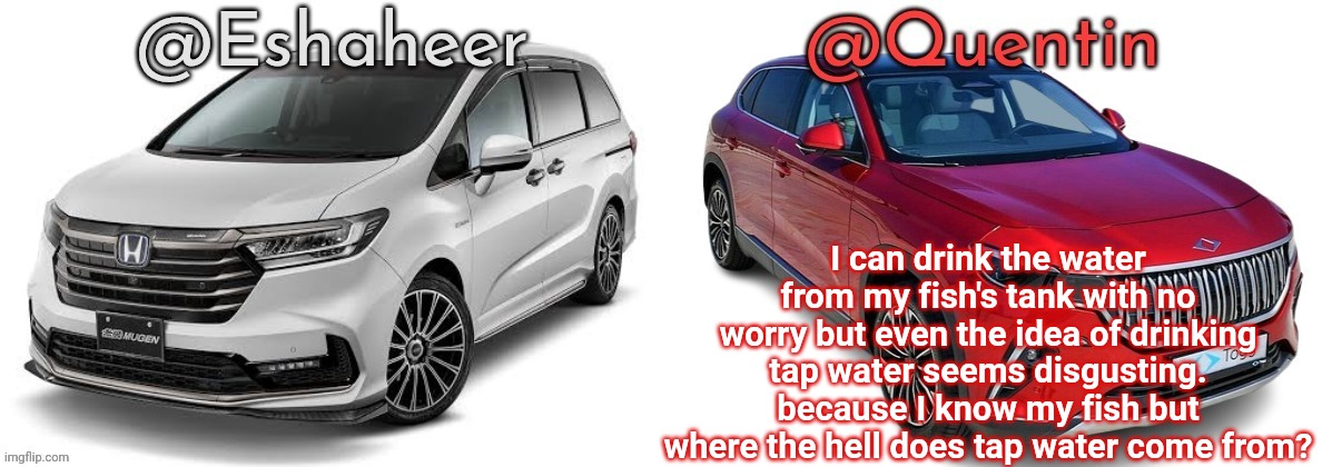 eshahir and quentin temp | I can drink the water from my fish's tank with no worry but even the idea of drinking tap water seems disgusting. because I know my fish but where the hell does tap water come from? | image tagged in eshahir and quentin temp | made w/ Imgflip meme maker
